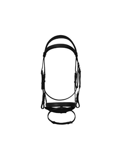 Premium Flash Noseband Bridle